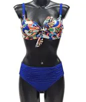Bikini fantasia fusion