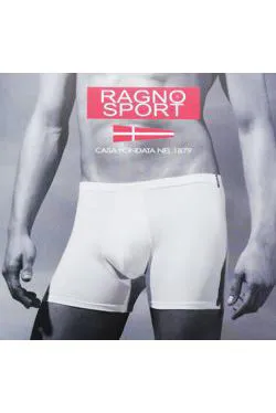 BOXER RAGNO