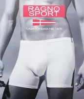 BOXER RAGNO