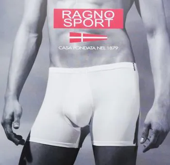 BOXER RAGNO